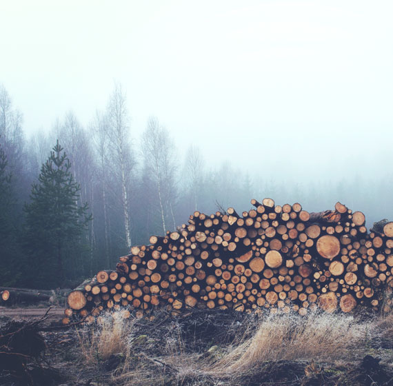 Vimeo Video Post